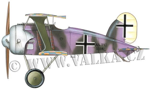 Albatros D.XI : Albatros
