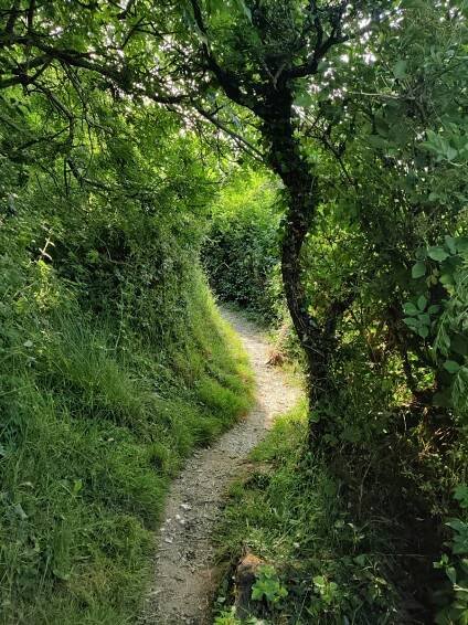 Jurassic Coast Path, Day 3 – Capturing the Seasons