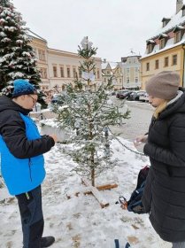 Děti zdobily vánoční stromky v kostele a na náměstí v Lokti