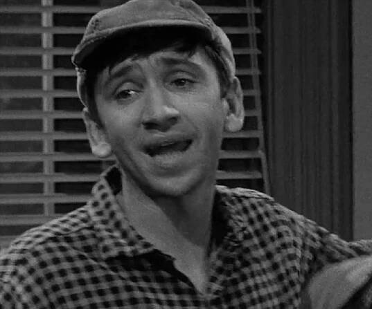 Bob Denver Biography - Facts, Childhood, Family Life, Achievements