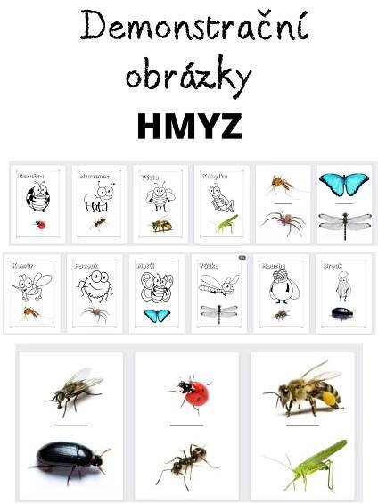 Dem. obr. hmyz + kreslený hmyz | Inspirace (nejen) do školky