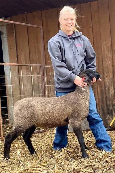 United Suffolk Sheep Association | EWE LAMB GIVEAWAY