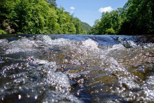 Ridges to Rivers · Tennessee Aquarium