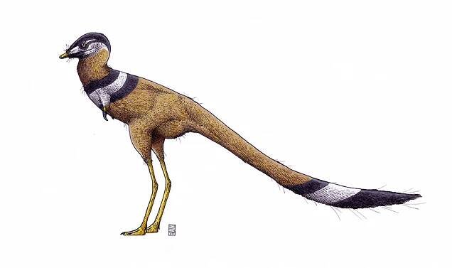 Grafiken und Illustrationen von Ville Sinkkonen - Dinodata.de