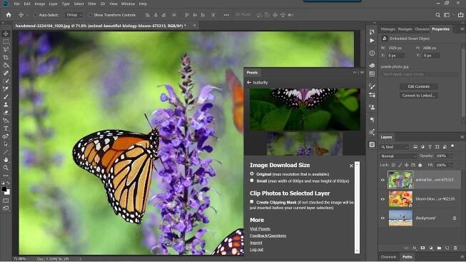 Best Free Photoshop Plugins For Photographers - 2022 - TechFandu