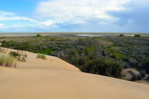 Doñana – Wikipedie