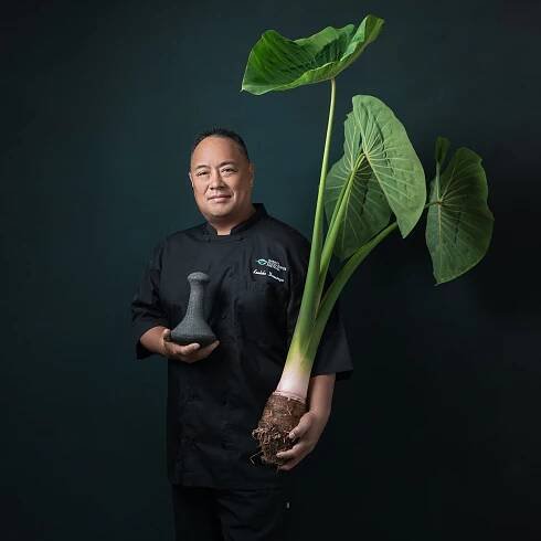 Tracy Wright Corvo Photography branding portraits - Honolulu, Hawaii