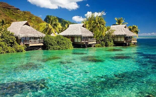 "Welcome to Jamaica - Where Dreams Come True"