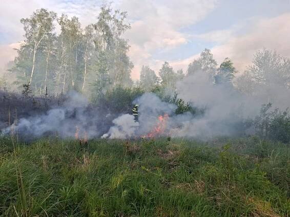 Osm jednotek hasičů likvidovalo lesní požár v obci Růžďka na Vsetínsku | POŽÁRY.cz - ohnisko žhavých zpráv | hasiči aktuálně