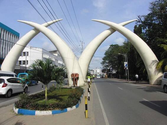 Safariveranstalter - Kenia-Safaris