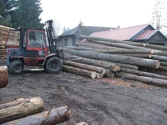 Pila Pavlík foto 2