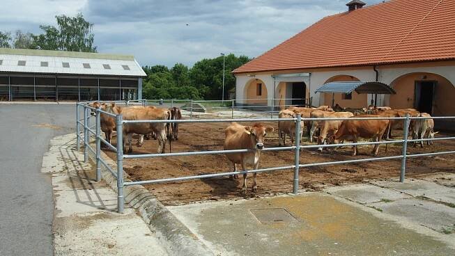Farma Požáry | Katedra chovu hospodářských zvířat