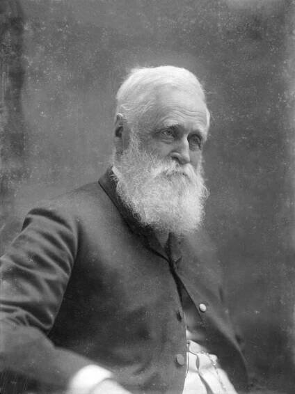 William Fox (politician)