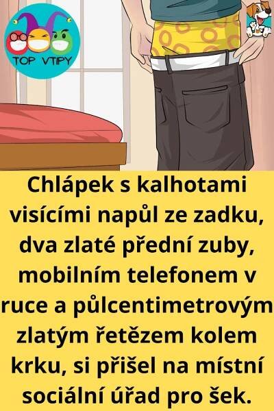 vtipné obrázky, vtipy a videa in 2025