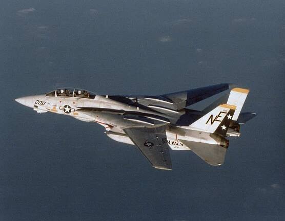 Grumman F-14 Tomcat