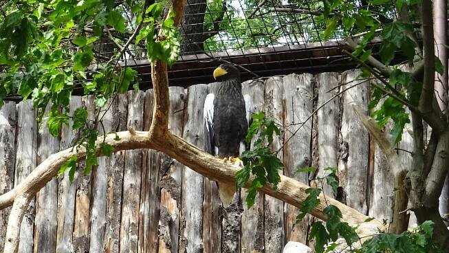 Photos - Zoopark Chomutov - 30.08.2022