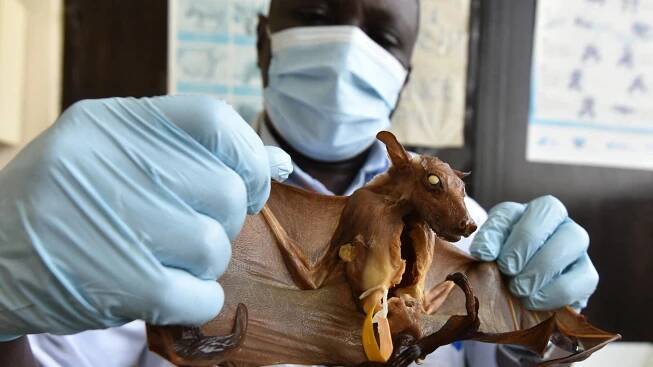 Foto: Sia Kambou / AFP