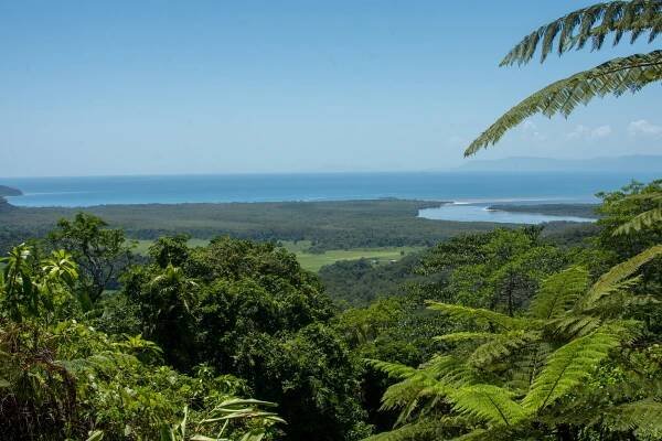 Three Days in Cairns, Australia: Coral Reefs & Rainforests | A Happy Passport