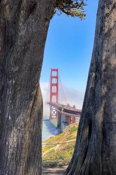 How to Spend One Day in San Francisco (+ The Top Things To Do)