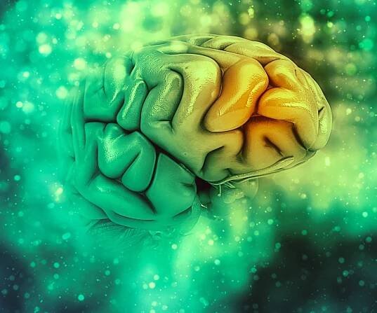 Voted Best Nootropic Stack To Boost Your Brain Power