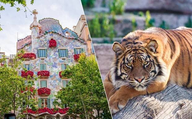 Combo (Save 5%) : Casa Batlló + Barcelona Zoo Tickets