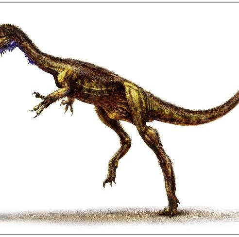 Eodromaeus Adds Context to Dinosaur Origins