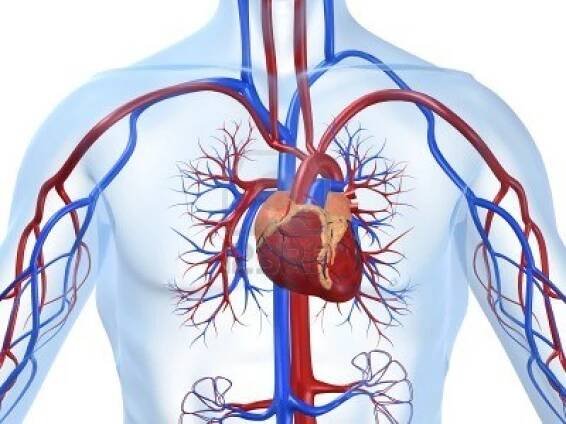 Cardiac Surgery