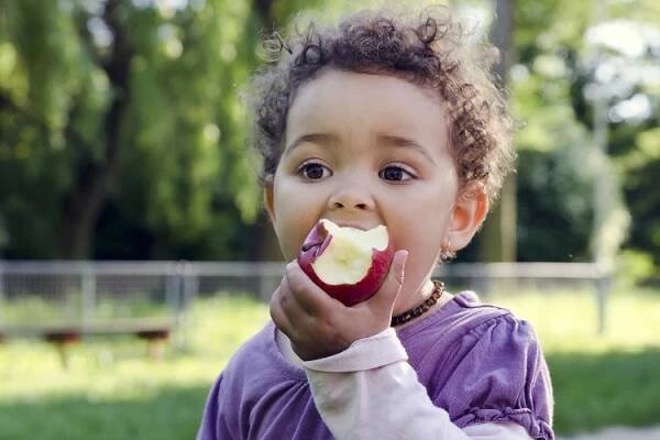 Apples, they are delicious, healthy and keep the doctor away.