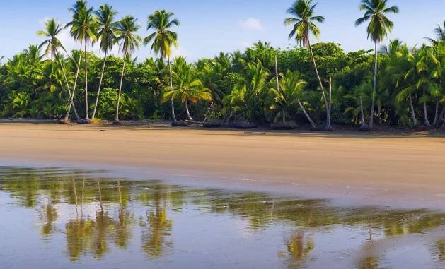 Bahia Ballena
