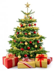 Svěží vánoční strom s dárkové krabičky — Stock obrázek