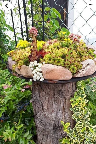 Pin von Jane Bird auf Tree stump in 2025 | Garten bepflanzen, Garten deko, Garten anpflanzen