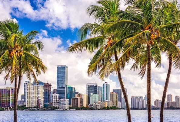 miami skyline