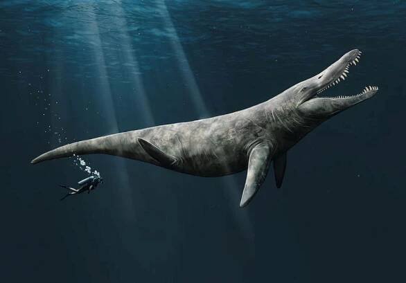 Asi 150 milionů let starý pliosaurus z Abingdonu patrně lovil jiné mořské plazy, které byl schopen překousnout vejpůl svými mohutnými čelistmi