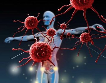 Co je imunitní systém a jak se vyvíjí v průběhu našeho života? - End Duchenne