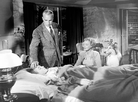 Claude Jarman, Lloyd Nolan a Jeanette MacDonaldová hráli společně ve snímku The Sun Comes Up.