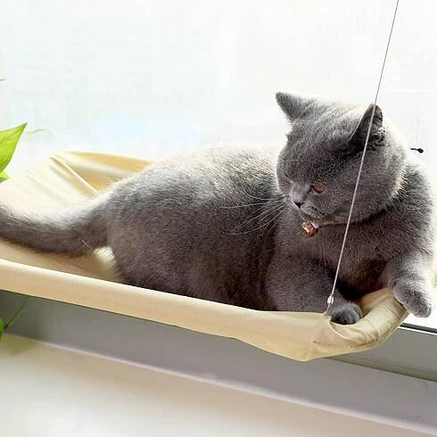 Cama para colocar en la ventana