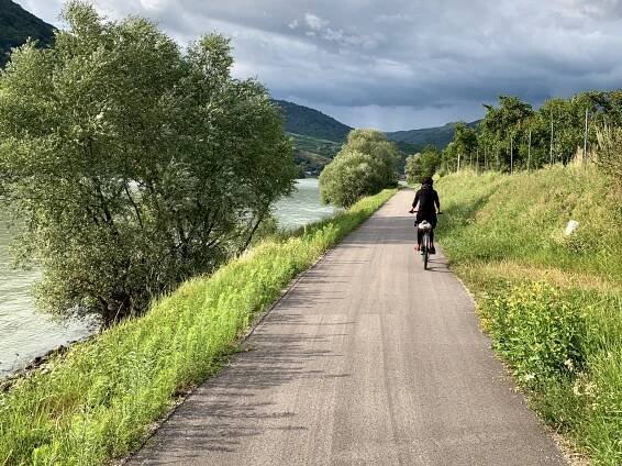 Dunajská cyklostezka podél Weinriede Altenweg v Oberarnsdorf in der Wachau