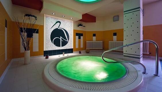 Wellness Medical Spa | Koupání Lázně Bohdaneč | NaVylet.cz