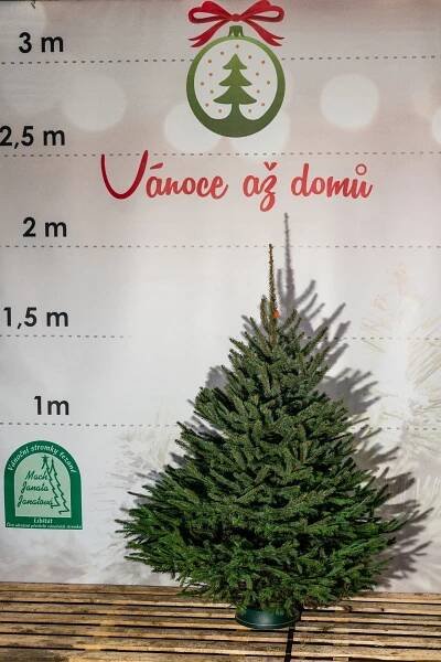 E-shop živých vánočních stromků