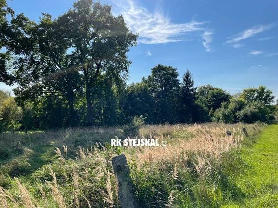 Prodej Pozemek, Borovany, okres Písek