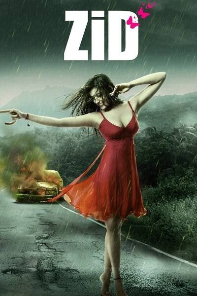 Zid 45% (2014)