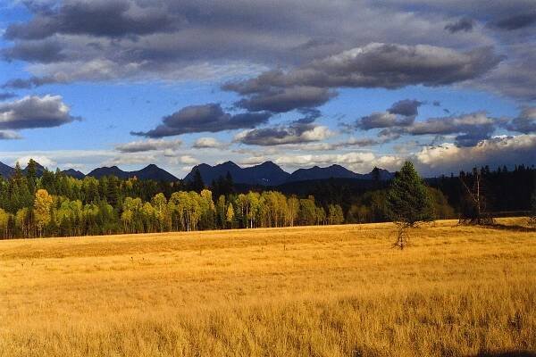 Livingston Range