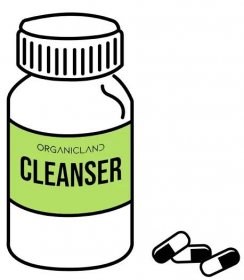 OrganicLand Natural Cleanser 