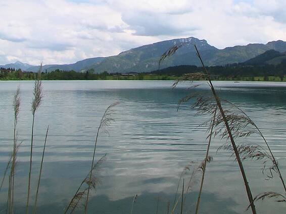 Walchsee – Wikipedie