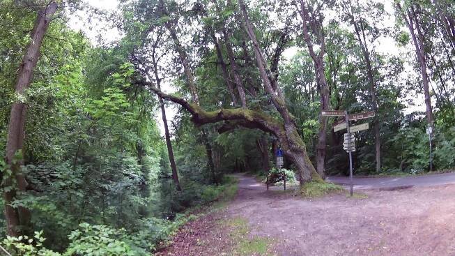 Z Café Wildau na Askanierturm - Videotrasa - Livetouring.com