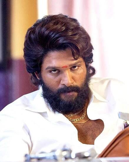 Allu Arjun Biography, Age, Family & Facts - BharatFlux