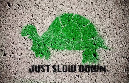 In Praise of Slowness: Parenting Books about Slowing Down - Famlii