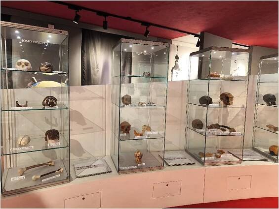 Museum Dr. Aleše Hrdličky – Základní škola Havlíčkův Brod, Nuselská 3240