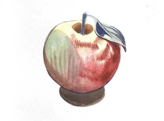 Watercolor Still Life 