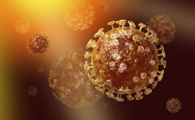 Čínští vědci vystopovali zdroj epidemie viru SARS k netopýrům, cibetky jsou jenom přenašeči
